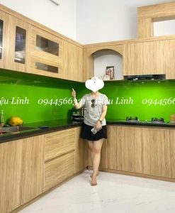 TBV052-TỦ BẾP NHỰA CAO CẤP VINCOPLAST MÀU HY91